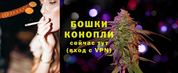 дмт Богородск