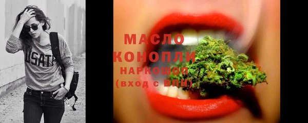 дмт Богородск