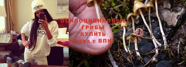 дмт Богородск