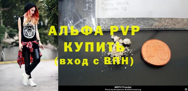 стафф Богданович