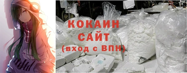 стафф Богданович