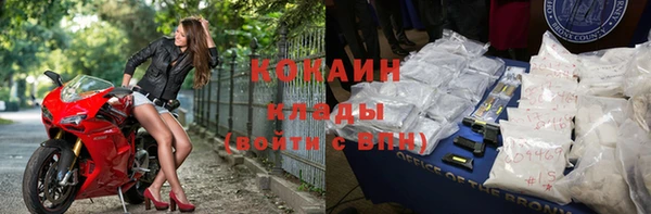стафф Богданович