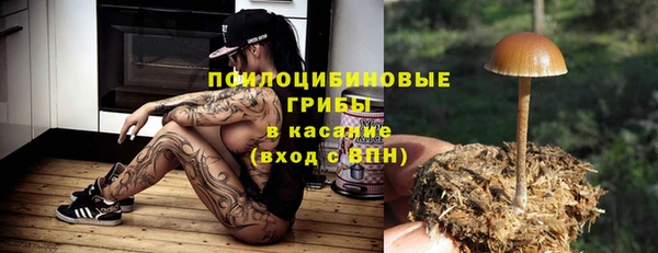 стафф Богданович