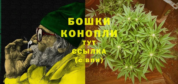 стафф Богданович