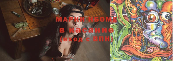 стафф Богданович
