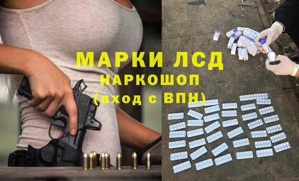 стафф Богданович